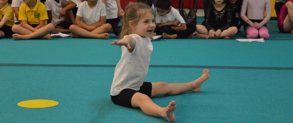 MPEA Gymnastics